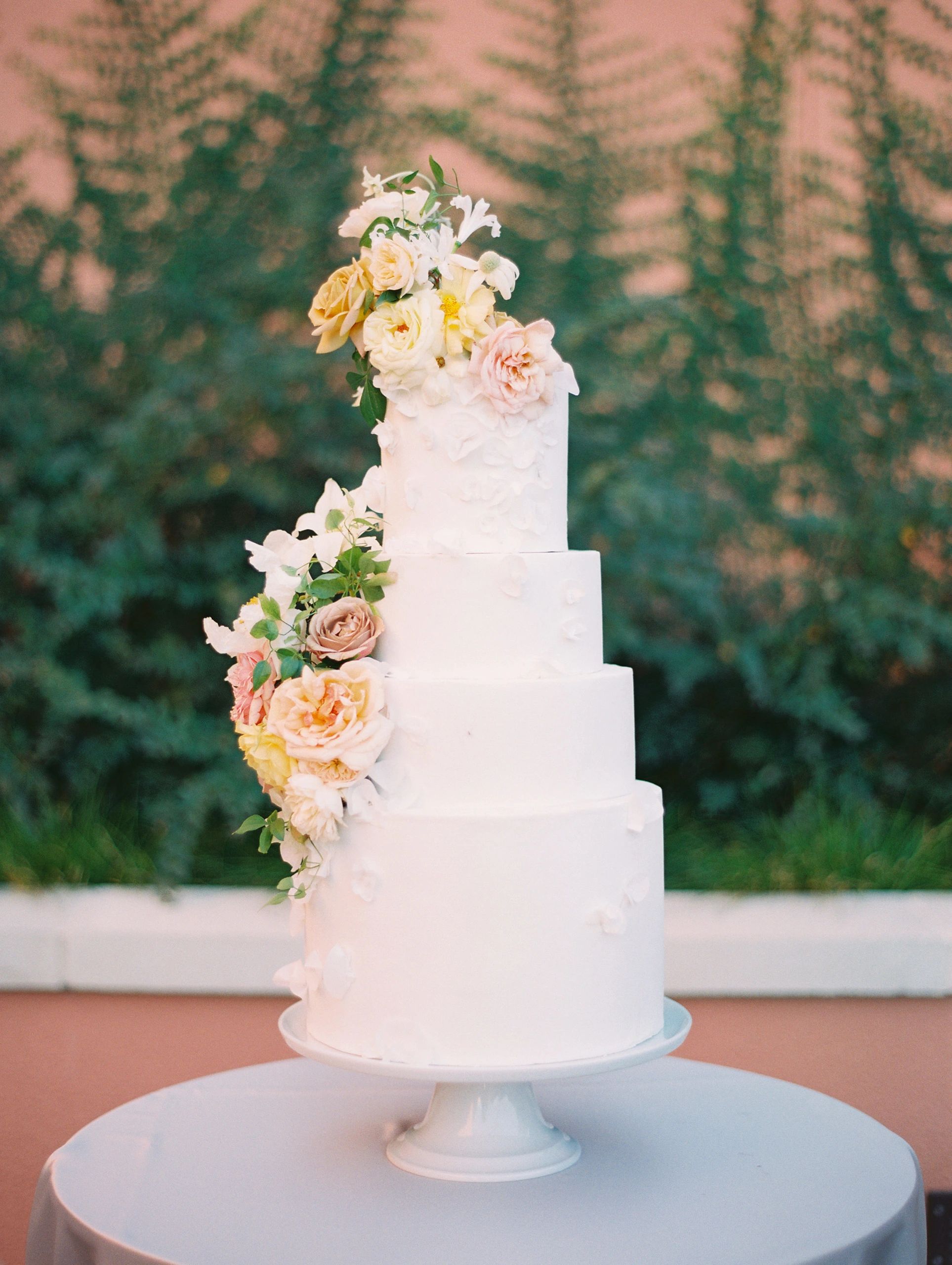 Butterfly Cakery Butterfly Cakery